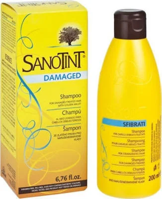 SANOT.SHAM.DAMAGED &Beta;&Alpha;&Mu;.&Mu;&Alpha;&Lambda;
